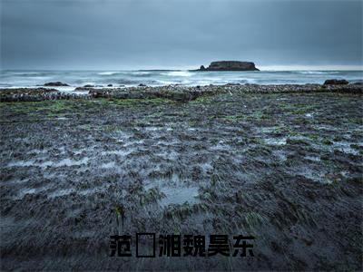 范珺湘魏昊东全本资源免费阅读结局无删节-魏昊东范珺湘小说全文阅读无弹窗（范珺湘魏昊东）