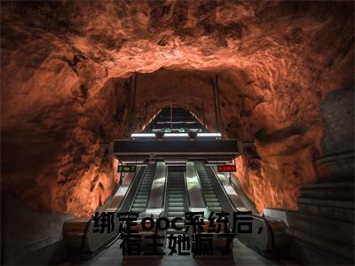 小说绑定ooc系统后，宿主她疯了无弹窗免费阅读-新上热文小说（何萱）讲的是什么