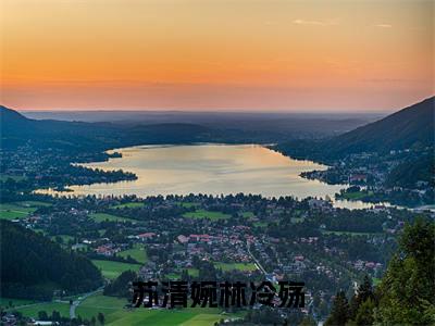 苏清婉林冷殇（林冷殇苏清婉）全文免费阅读无弹窗大结局_苏清婉林冷殇免费阅读无弹窗最新章节列表_笔趣阁