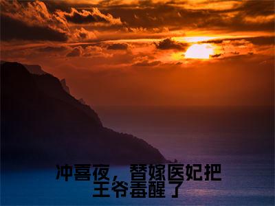 冲喜夜，替嫁医妃把王爷毒醒了（萧惊寒慕晚吟）小说全文免费_冲喜夜，替嫁医妃把王爷毒醒了（萧惊寒慕晚吟）最新章节目录笔趣阁