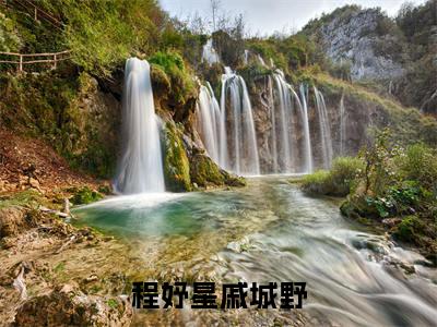 戚城野程妤星全文免费阅读无弹窗大结局-程妤星戚城野最新章节列表免费阅读