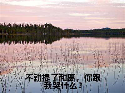 不就提了和离，你跟我哭什么？全文免费阅读_（顾尘小说）不就提了和离，你跟我哭什么？言情小说在线阅读笔趣阁（顾尘）