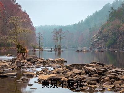 黄泉不渡我多人追的小说在哪里可以看 施怡贺宴小说免费阅读全章节