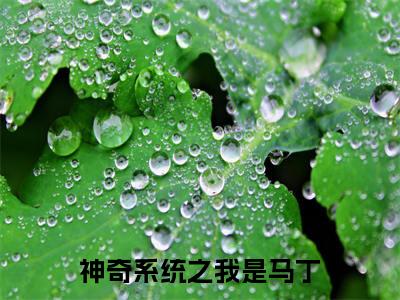  许明月马丁全文免费阅读无弹窗大结局_神奇系统之我是马丁章节列表_笔趣阁