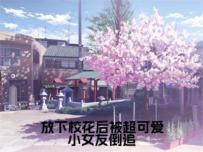 陈域（放下校花后被超可爱小女友倒追）全文免费阅读无弹窗大结局_放下校花后被超可爱小女友倒追最新章节列表_笔趣阁（陈域）