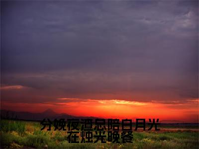 分娩夜渣总陪白月光在烛光晚餐小说（唐筝薄夜宸）最新章节阅读-分娩夜渣总陪白月光在烛光晚餐（唐筝薄夜宸）免费阅读无弹窗大结局