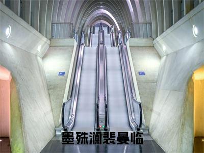 墨殊澜裴晏临全文免费完整版-小说墨殊澜裴晏临（墨殊澜裴晏临）已完结全集大结局