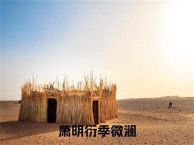 萧明衍季微澜（季微澜萧明衍）全文免费阅读无弹窗大结局_萧明衍季微澜（季微澜萧明衍）小说全文免费阅读最新章节列表
