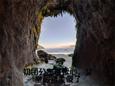奶团公主被读心，父皇后宫全傻了全文小说（萧婉）-完结版热文萧婉（奶团公主被读心，父皇后宫全傻了）小说免费阅读