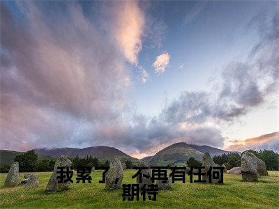 我累了，不再有任何期待（桑梦季斯汀）完结版小说-我累了，不再有任何期待小说全文免费阅读笔趣阁