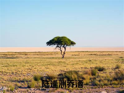 乔酒陆逢洲（陆逢洲乔酒）全文免费阅读无弹窗大结局_陆逢洲乔酒最新章节列表_笔趣阁（乔酒陆逢洲）