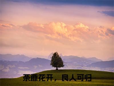 荼蘼花开，良人可归（裴允夏景占南）全文免费阅读无弹窗大结局_荼蘼花开，良人可归全文免费完结版阅读（裴允夏景占南）