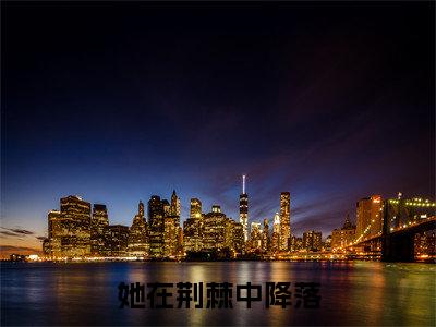 她在荆棘中降落小说江心离萧沉擎-她在荆棘中降落小说在哪里可以看