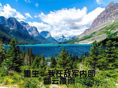 李伟免费阅读无弹窗大结局，重生：我在敌军内部翻云覆雨最新章节