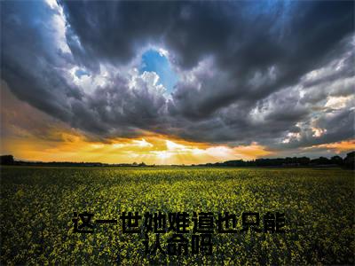 这一世她难道也只能认命吗阅读无弹窗大结局_（陆景泽江梨阅读无弹窗）最新章节列表_笔趣阁（陆景泽江梨）