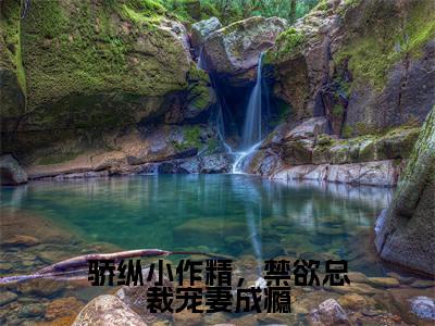 骄纵小作精，禁欲总裁宠妻成瘾热推新书小说全文（岑望月盛棠舟）全文免费阅读_骄纵小作精，禁欲总裁宠妻成瘾最新章节无弹窗阅读
