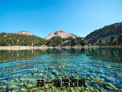 贺西爵林一暖（贺西爵林一暖）全文免费阅读无弹窗_林一暖贺西爵小说免费阅读_笔趣阁