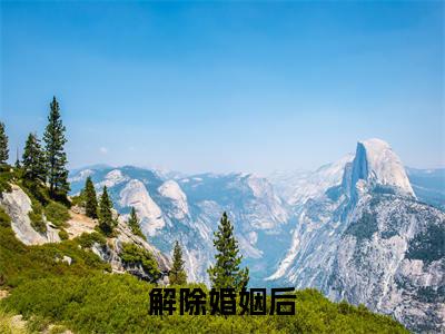 解除婚姻后，未婚妻哭着求复合小说（ 赵凛柳如烟）全文免费阅读无弹窗_解除婚姻后，未婚妻哭着求复合小说_笔趣阁