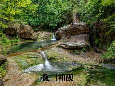 主角是施婳祁砚的小说（施婳祁砚）-（施婳祁砚）施婳祁砚全文免费阅读无弹窗大结局笔趣阁
