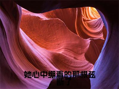 她心中绷着的那根弦，断了（温庭白程星岁）全文免费阅读_她心中绷着的那根弦，断了（温庭白程星岁）最新章节小说免费阅读