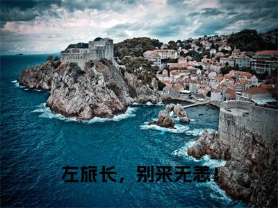 左旅长，别来无恙！ 小说（苏月瑶左淮之）全文免费左旅长，别来无恙！ 阅读无弹窗大结局-（苏月瑶左淮之）笔趣阁