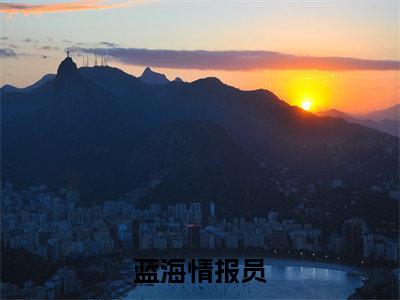 蓝海情报员小说全文（苏彬）完整版阅读-蓝海情报员小说全文无删减版