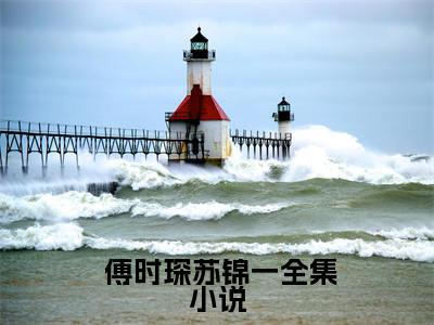  傅时琛苏锦一（总裁老公，太黏人！）在哪免费看-小说（ 傅时琛苏锦一）总裁老公，太黏人！全文完整版免费阅读