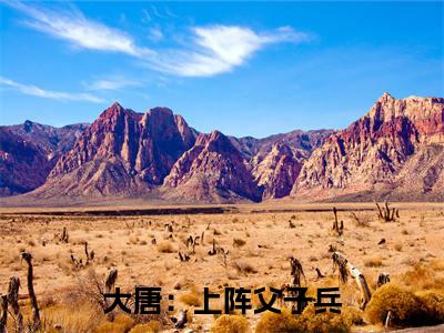 主角是 魏叔玉崔神基的小说-大唐：上阵父子兵，喷子二人组上线了全文无弹窗免费阅读