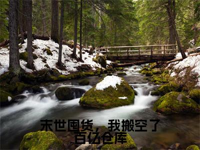 慕萱秦睿末世囤货，我搬空了百亿仓库在线小说-末世囤货，我搬空了百亿仓库全文无删减版阅读
