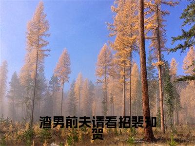 沈宜裴知贺（渣男前夫请看招裴知贺）全文在线阅读无弹窗大结局_沈宜裴知贺精选免费小说大结局阅读_渣男前夫请看招裴知贺