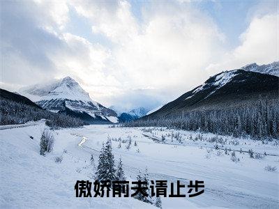傲娇前夫请止步（林晚陆子池）全本完整版免费阅读_(傲娇前夫请止步)林晚陆子池全文章节目录_笔趣阁