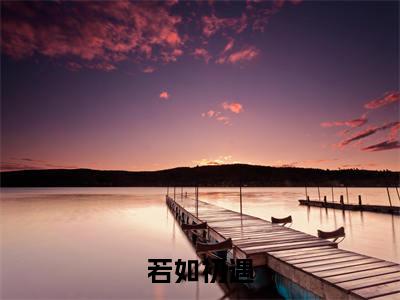若如初遇（沈芷曦宋勉）快手热推小说主角若如初遇完整版在线阅读