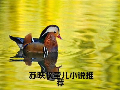 渣男宠妾灭妻？她二嫁太子免费阅读全文免费阅读无弹窗大结局_ ( 苏映枫莹儿小说免费阅读)渣男宠妾灭妻？她二嫁太子最新章节阅读