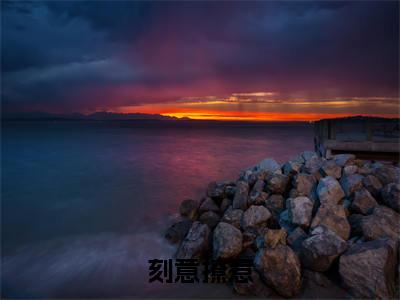 刻意撩惹（温夏宋辞安）全文免费阅读无弹窗大结局_温夏宋辞安小说最新章节列表_笔趣阁