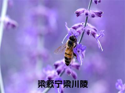 梁簌宁梁川陵在线阅读（梁川陵梁簌宁）全文免费阅读无弹窗大结局_梁川陵梁簌宁最新章节列表笔趣阁（梁簌宁梁川陵）