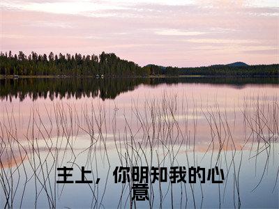 主上，你明知我的心意(沈姝夜惊寒)全文免费阅读无弹窗大结局_主上，你明知我的心意完整版在线阅读章节列表_笔趣阁