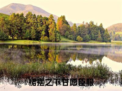 裙摆之下甘愿臣服（林依依傅谨淮）小说全文免费_裙摆之下甘愿臣服（林依依傅谨淮）最新章节目录笔趣阁