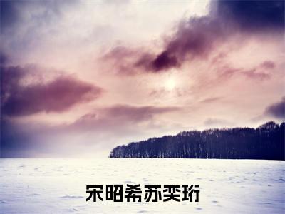 宋昭希苏奕珩（苏奕珩宋昭希）小说全文免费_宋昭希苏奕珩（苏奕珩宋昭希）最新章节目录笔趣阁