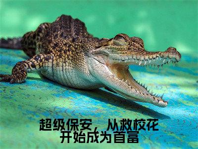 肖峰超级保安，从救校花开始成为首富全文阅读 肖峰免费阅读无弹窗