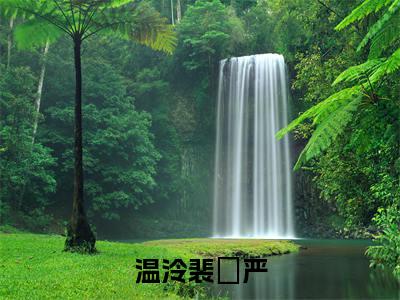 温泠裴璟严小说（裴璟严温泠）全文免费阅读_（裴璟严温泠）温泠裴璟严最新章节列表笔趣阁
