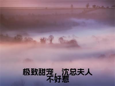 沈逸尘秦嫣（极致甜宠，沈总夫人不好惹全章节完整版）免费阅读_（沈逸尘秦嫣）全文无删减免费阅读（沈逸尘秦嫣）