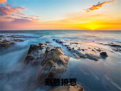 刻意撩惹全本资源（温夏宋辞安）全文免费阅读无弹窗大结局_温夏宋辞安最新章节列表（刻意撩惹）