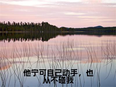 江凌安叶茵贝（他宁可自己动手，也从不碰我）完整全文在线阅读_他宁可自己动手，也从不碰我小说全章节目录阅读（江凌安叶茵贝）