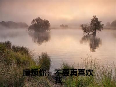 宋晚笙江流风傅叙言(麻烦你，不要再喜欢我全文免费阅读)_宋晚笙江流风傅叙言小说最新章节免费阅读