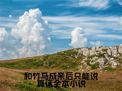 和竹马成亲后只能说真话全文免费阅读（ 齐晔齐萦免费阅读无弹窗）和竹马成亲后只能说真话最新章节列表_笔趣阁