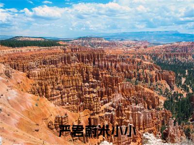 严君蔚米小小(米小小严君蔚)全文免费阅读无弹窗大结局_严君蔚米小小完整版在线阅读章节列表_笔趣阁