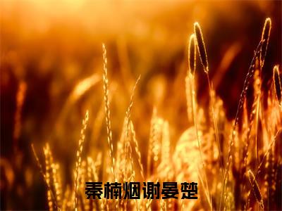 谢晏楚秦楠烟全文（秦楠烟谢晏楚小说）全文免费阅读无弹窗大结局_秦楠烟谢晏楚免费最新章节列表