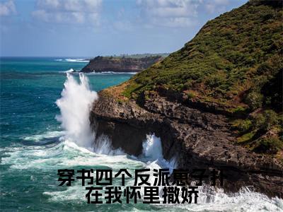 穿书四个反派崽子扑在我怀里撒娇全文免费阅读无弹窗大结局_ （厉云霆江瑾完结）穿书四个反派崽子扑在我怀里撒娇小说最新章节列表