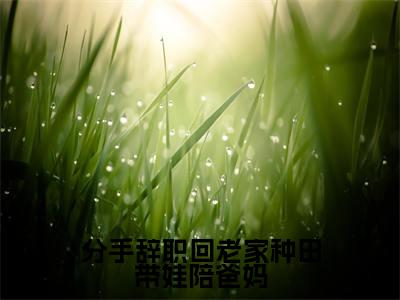 分手辞职回老家种田带娃陪爸妈小说全文在线赏析 乔叶初小说免费阅读全文大结局