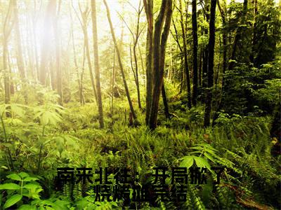  姚玉玲马魁小说免费全本-南来北往：开局掀了烧烤摊小说（ 姚玉玲马魁完整版）免费阅读